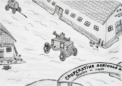 Bace Toghiere și focu’ 