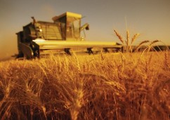 Filte agricole