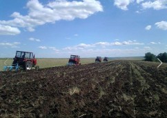 MADR:Ponderea agriculturii în PIB era de 4,8% în septembrie 2015