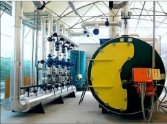 Boilere cu combustibil solid 