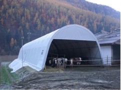 Depozite cereale, Fanare, Grajduri