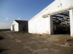 Ferma de vaci de vanzare in localitatea, Izvoru Judetul Giurgiu