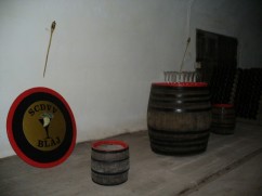 Statiunea de Cercetare si Dezvoltare pentru Viticultura si Vinificatie Blaj