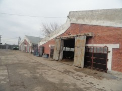 Ferma de Animale De Vanzare