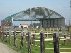 Sere Romania-crescatorie pasari
