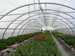 Solarii Tunnel