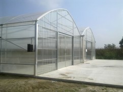 Sere pentru legume : www.sere-romania.ro