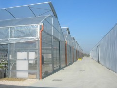 Sere si solarii : www.sere-romania.ro