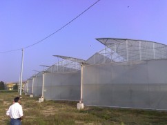 Producem sere cu sisteme de fertirigare