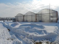 Proiectam si construim sere pt rasaduri