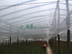 Folie termica pentru sere si solarii!