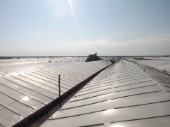 Vindem folie de acoperire pentru solarii