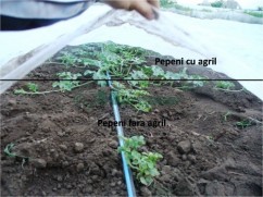 Vindem folie microporoasa tip Novagril