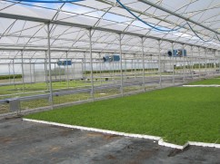 Ferestre duble la culme sere si solarii