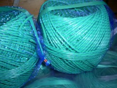 Fir elastic de legat vita de vie de 2mm