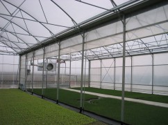 Sere si solarii cu fonduri nerambursabil
