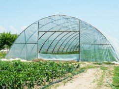 Fermierii români vor primi fonduri pentru încălzirea solariilor