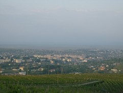 Vin DOC de Husi