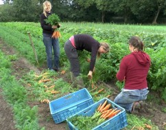 UCIP IFAD acordă ajutor financiar generos pentru antreprenoare agricole