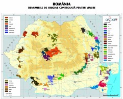 Regiunile viticole ale Romaniei