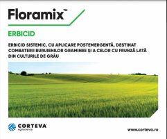 PALLAS și FLORAMIX  – nicio șansă buruienilor din cultura de grâu
