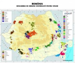 MADR lansează un apel pentru depunerea propunerilor de programe de promovare a vinurilor