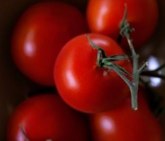 Sute de euro subvenţii pentru agricultura ecologică