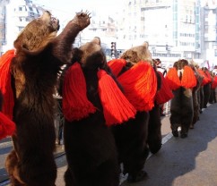 Ursul de la Darmanesti 2011-2012 Traditii si obiceiuri