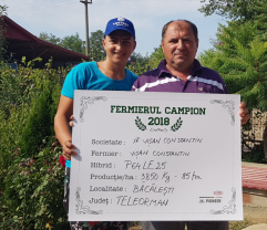 Fermierii campioni la floarea-soarelui din județul Teleorman