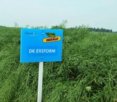 DK EXSTORM Producţii de neegalat în toate condiţiile!