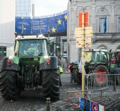 Acordul UE–MERCOSUR: oportunitate economică sau risc pentru agricultura României
