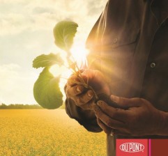DuPont Lumiposa- insecticid tratament sămânță
