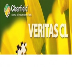 VERITAS CL - Tolerează seceta și oferă producții sigure!