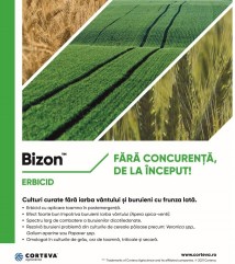Erbicidul Bizon- Soluția Corteva pentru erbicidarea în toamnă a culturilor de cereale păioase