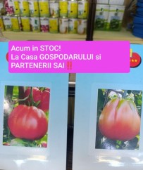 Casa Gospodarului – semințe profesionale și accesorii esențiale pentru răsaduri