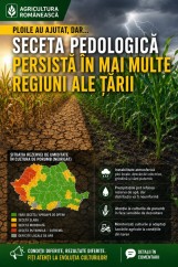 Deși unele zone au suficientă apă în sol, în altele seceta pedologică continuă să creeze probleme.