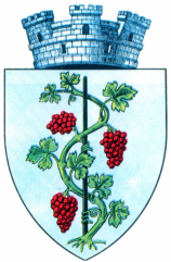 Vin DOC de Dragasani