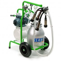 Grup Individual De Muls