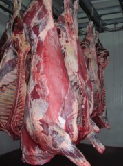 Tehnologia Abatorizarii Taurinelor 4