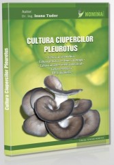 Pastrav de fag,Pleurotus