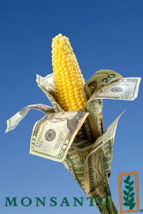  Monsanto – Rezultate financiare Q4. Cifra de afaceri a companiei se află în creştere