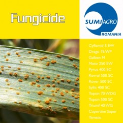 Fungicide Summit Agro România
