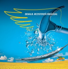 Semințe de rapiță Monsanto
