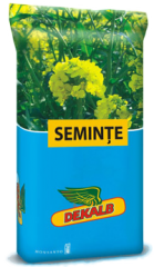 Silicvele în fața provocării