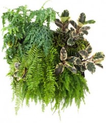  Noi directii in amenajarea spatiilor interioare