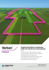 Verben - fungicidul NR 1 din T1!