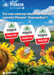Hibrizii de floarea soarelui Pioneer -  Performanță și Stabilitate demonstrate