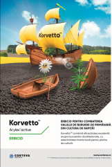 KORVETTO – Erbicidul nr. 1 pentru combaterea buruienilor dicotiledonate din cultura de rapiță