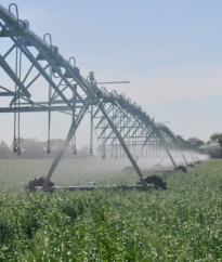 Cum investițiile în irigații vor revoluționa agricultura din România