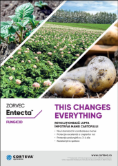 Cartoful, o cultură sănătoasă și profitabilă, cu produsele Corteva Agriscience